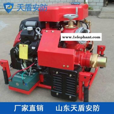 手提消防泵价格 天盾手提消防泵供应商 消防器材厂家