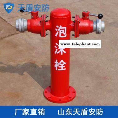 地上式泡沫消防栓供应商 天盾地上式泡沫消防栓价格 质量保证