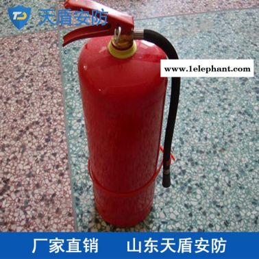 供应MFZ/ABC1干粉灭火器 天盾干粉灭火器厂家直供 消防装置现货