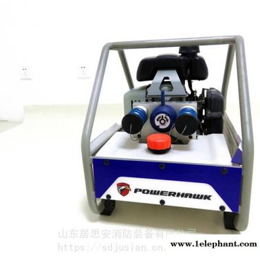 批发P630SG双倍流量液压机动泵