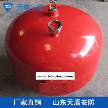 厂家直供悬挂式干粉灭火器天盾 悬挂式干粉灭火器批发直销