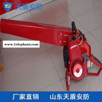 风力灭火机现货供应 天盾灭火机批发零售 质量保证图3