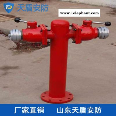 供应PSS型地上泡沫消火栓 天盾消防器材厂家 泡沫消火栓介绍图2