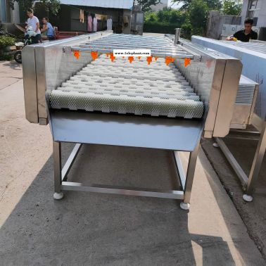 生产蔬菜去泥清洗机 大姜高压清洗机 全自动水果去杂清洗机 红凯机械