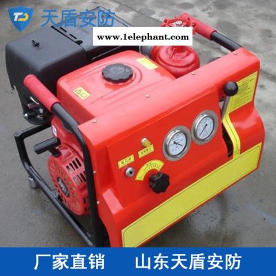 手提消防泵低价出售 手提消防泵厂家 消防设备批发厂家图2