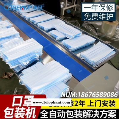 柯田厂家直销KT-250KN95口罩枕式包装机 医疗口罩全自动枕式包装机械设备KN95口罩机图2