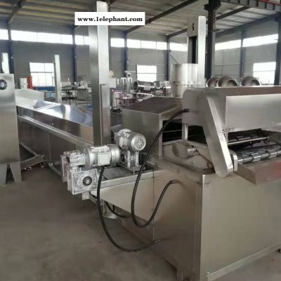 天燃气炸洋葱颗粒全自动油炸机 柴油加热蚕豆全自动全自动油炸机 源帜 YZ600 全自动油炸机 厂家直销