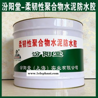 柔韧性聚合物水泥防水胶-、防水，性能好