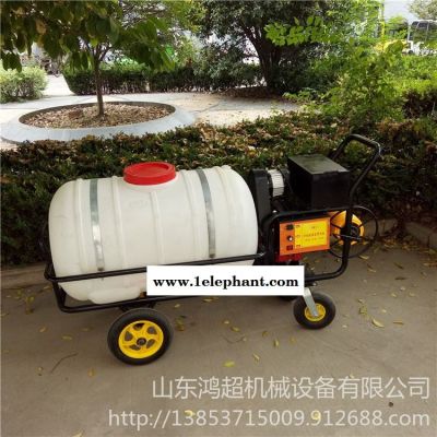 直销手推高压拉管喷药机 养殖场灭菌消毒灭虫打药机 拉管打药机图1