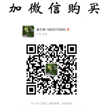 联系议价格 云南白药泰邦弹性创可贴医用灭菌创可贴100片弹力透气伤口止血贴 药泰邦弹性创可贴图5