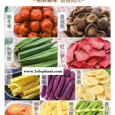 冻干机灭菌原理 菌种用冻干机 christ冻干机  大型冻干机价格 博医康冻干机FD_1_50 冻干机cip结构设计图2