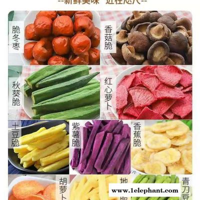冻干机作用及原理 能做冻干粉的冻干机 冻干机冷阱灭菌  进口冻干机品牌有那些 实验室洗瓶机 实验室冻干机 液氮 冻干机图2