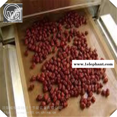 水果干微波烘干杀菌设备 蔬果干干燥灭菌一体机
