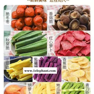 微型真空冻干机价格 真空冻干机风险评估 冻干机 过滤 蒸汽 灭菌 虫草冻干机价格 大型冻干机富龙 冻干机抽真空时温度图2