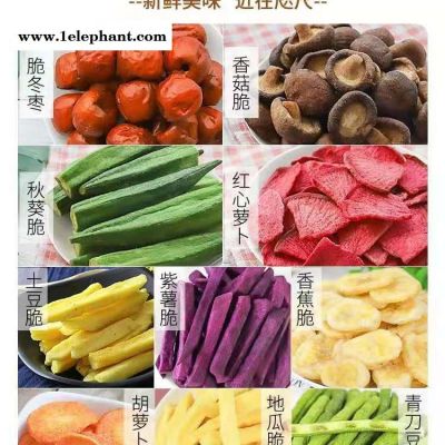d冻干机械常州有限公司 冻干机极限真空标准 冻干机后箱灭菌验证 冻干机头龙头 冻干机真空捕水 沈阳冻干机融冰技术图2