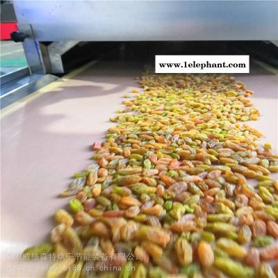 新疆葡萄干微波灭菌灭虫卵设备