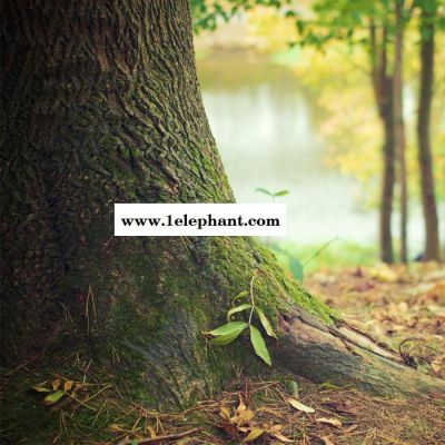 【万水化工商城】PEX电缆专用3082 防老剂 免费拿样 防老化剂防黄剂 性价比高型 马蹄莲图5