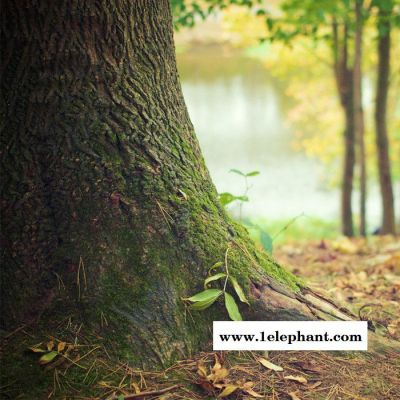 【万水化工商城】PE薄膜专用2094 防老剂 免费拿样 防老化剂防黄剂 经济型 马蹄莲图4