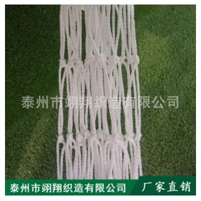 3MM集装箱网 集装箱防护网 货柜网 国标白色尼龙绳网图2