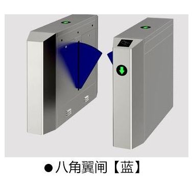 智能八角翼闸人行通道闸测温门禁系统 小区道闸工地闸门识别闸机