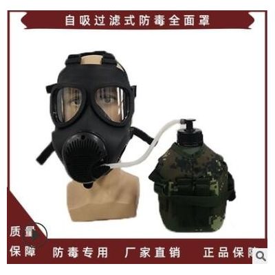 防毒面具TF-12D 自吸过滤式防飞沫防粉尘防毒全面罩图2