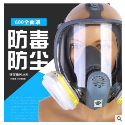 双箭龙600型防毒罩全景视野防雾化防毒气防毒具防毒面具图2