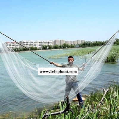 鱼网 升级款加密尼龙线4米半指网眼 钢坠图2