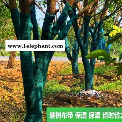 缠树带13公分 树木保温带 天津植物绷带 树木养护带图4