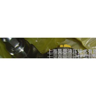 A10VS045DR/31R-PPA12N00原装力士乐图3