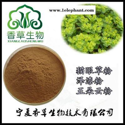 猫眼草粉80-120目 **猫眼草浸膏粉 泽漆粉原料粉现货