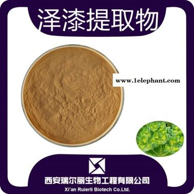 泽漆提取物10-1泽漆粉 猫眼草 泽漆浸膏  资质齐全  源头厂家包邮  西安瑞尔丽生物工程