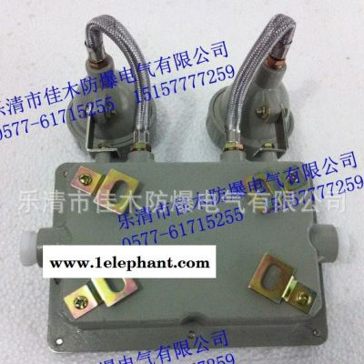 【LED】BCJ-B防爆双头应急灯 猫眼防爆应急灯图2