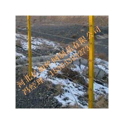 玻璃钢刺丝立柱 50*60铁路防护刺丝柱 绝缘防护柱 刺绳立柱 欢迎厂参观图4