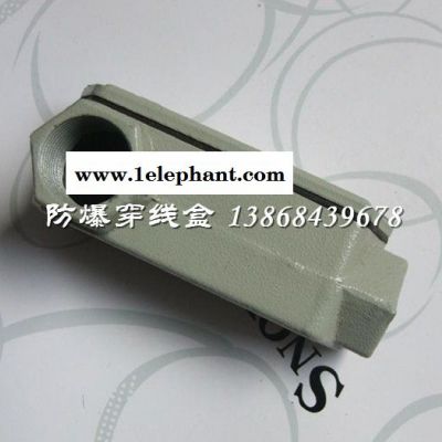 BHC-D-G1防爆左弯通穿线盒图4