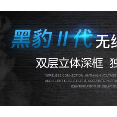 黑豹WL-780 Ⅱ 升级版黑豹脉冲无线大深度抗高压探测器 地下金属探测器黑豹探宝仪寻宝户外远程金银铜考古16米深无线图8