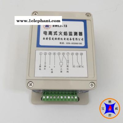 BWLJ-13 电离式火焰检测器 离子火焰探测器图4