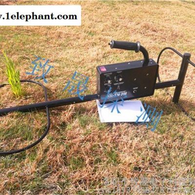 进口探测仪器探宝器地下金属探测器河南甘肃山西美国怀特White'sTM808 探测器金属探测器探宝器黄金银元玉石探测器图5