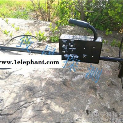 进口探测仪器探宝器地下金属探测器河南甘肃山西美国怀特White'sTM808 探测器金属探测器探宝器黄金银元玉石探测器图8