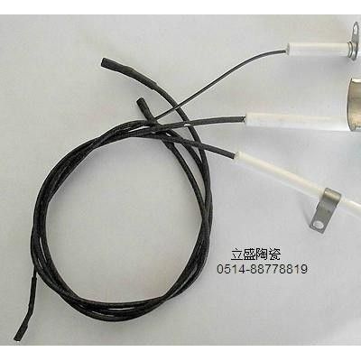Lisheng/立盛LS 点火针 点火电极 感应针 探测器 点火导线 点火器 火花塞图8
