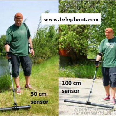 德国阿尔堡3D成像黄金宝藏扫描探测器阿尔堡3D成像黄金宝藏扫描探测器 金属探测器 探宝器 进口金属探测器可视探测器图5