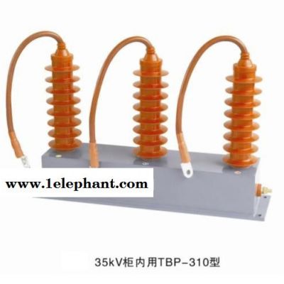 西安宝发EAT-5Z17/600高压成套电器 三相组合三相组合式过电压保护器式过电压保护器图3