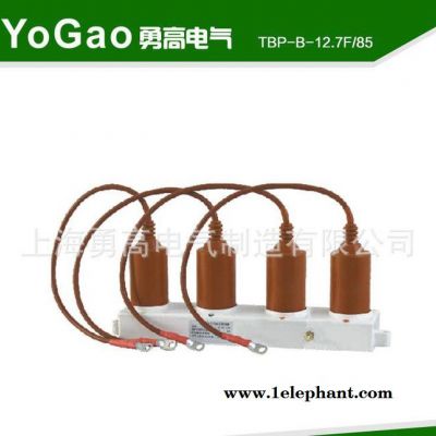 :TBP、TBP-85型三相组合式过电压保护器【四条线】图2
