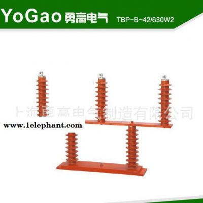 生产 TBP-B-42/630W2型 户外三相组合式 过电压保护器图3