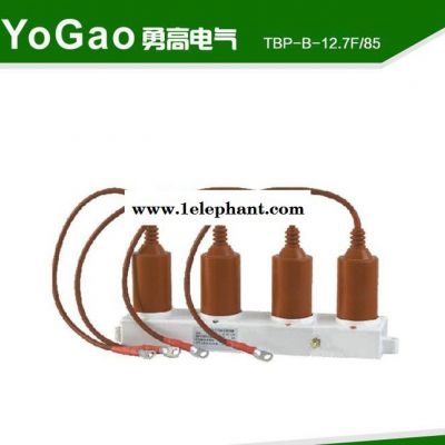 【直销】:TBP-131三相组合式过电压保护器【三条线】图3