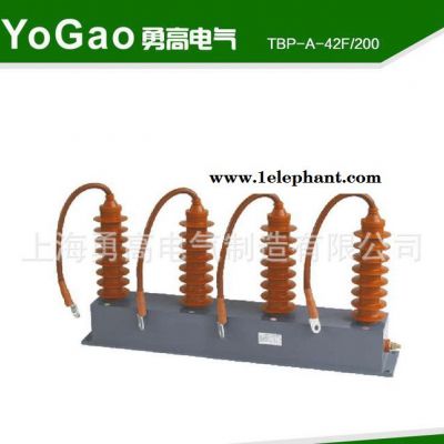 35KV组合过电压保护器TBP-A-42F/200户内过电压保护器 质量可靠图3