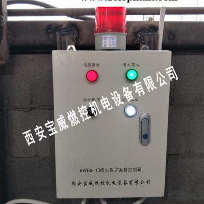 宝威燃控BWBQ-13 烤包器火焰检测   熄火保护报警控制箱  火焰探测器图5