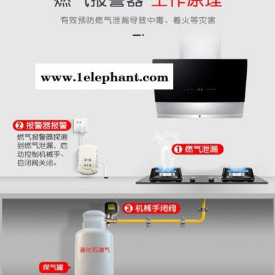 深圳意通顺**检测仪 厨房家用燃气泄漏报警器 煤炭报警探测器