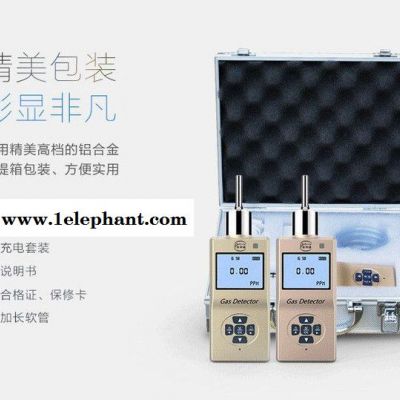 泵吸式便携式O3臭氧气体检测仪消毒用便携臭氧检测仪探测器检漏仪图2