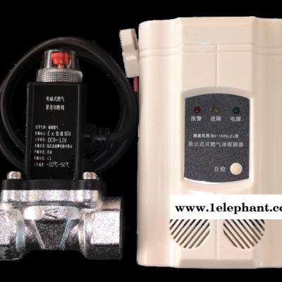 供应厨房专用燃气泄漏报警器/民用壁挂式气体报警器 /家用天然气煤气泄漏报警器  亚泰YTRB-C系列气体安全探测器图2