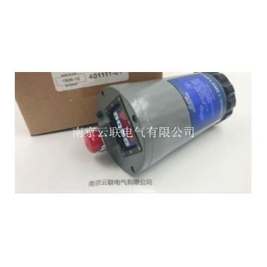 FORNEY 福尼 一体式火焰探测器   PN401 111